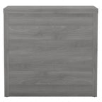 Echo Lateral File Cabinet by Bush Business Furniture