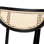 Dannell Mid-Century Modern Wood 2-Piece Dining Chair Set