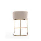 Manhattan Comfort Louvre 36 in. Titanium Gold Stainless Steel Counter Height Bar Stool