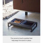 Yamazaki Home Pet Food Bowls - Two Styles, Steel and Ceramic, Short, 1.25 cups, 300 milliliters per bowl