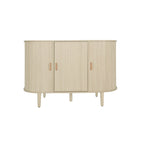 Storage Accent Cabniet with 3 door