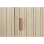 Storage Accent Cabniet with 3 door