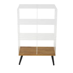 Acrylic Plastic 1 Shelf Side End Accent Table with Wood Base and Black Legs - Clear - Roche River Decor
